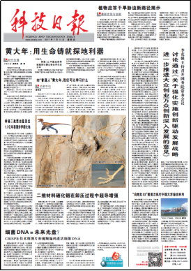 6t����(6TSPORTS)�����Źɷݹ�˾